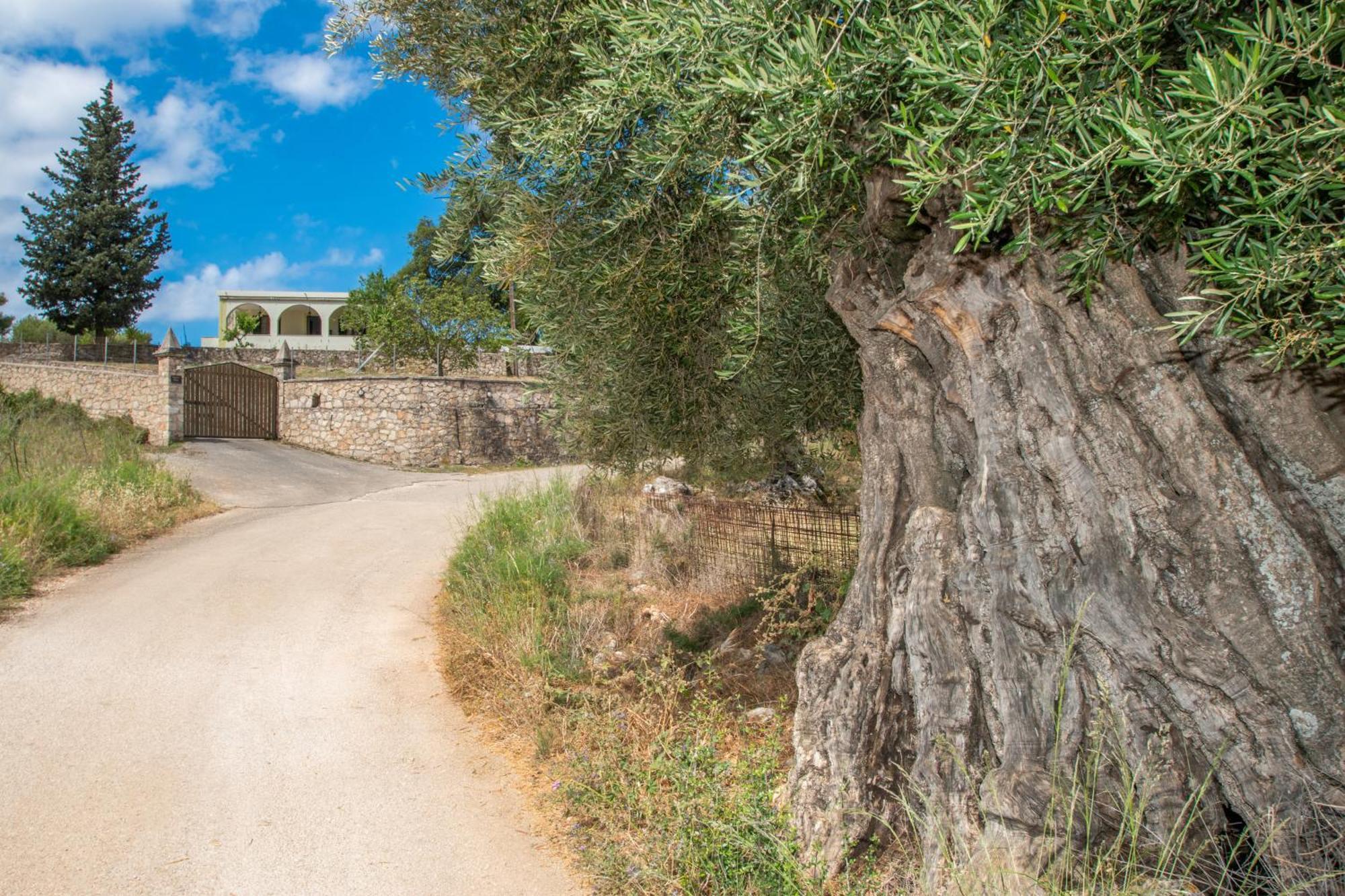 Maries  Leandros Private House Near Shipwreck Beach By "Elite" מראה חיצוני תמונה